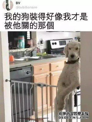 老弟你在里边安生点哦